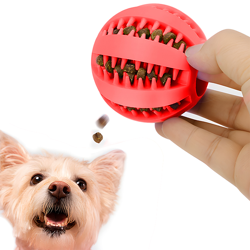 Interactive Toy Ball