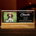Custom Photo You Left Paw Prints In My Heart Forever - Memorial Personalized Custom Acrylic Letters 3D LED Night Light - Sympathy Gift For Pet Owners, Pet Lovers