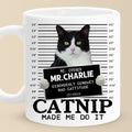 Custom Photo Think Pawsitive Be Pawerful - Dog & Cat Personalized Custom Mug - Gift For Pet Owners, Pet Lovers