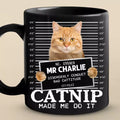 Custom Photo Furry Roommate, Furever Friend - Cat Personalized Custom Black Mug - Gift For Pet Owners, Pet Lovers
