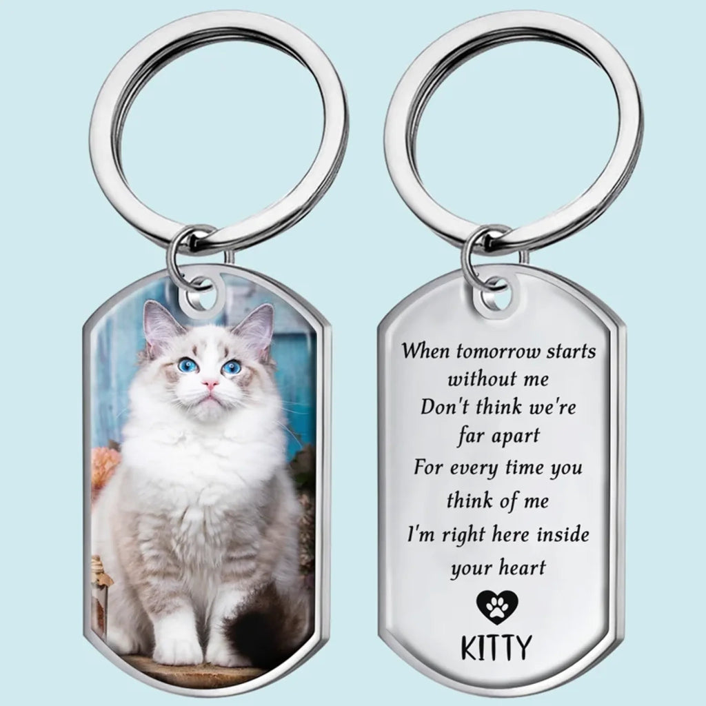 KC-Y009_Thumb1-Cat