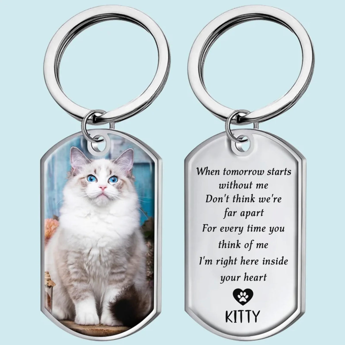 KC-Y009_Thumb1-Cat